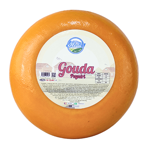 Gouda Cheese